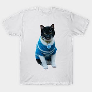 Cats in Sweaters T-Shirt